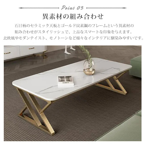 センターテーブル ホワイト セラミック 黒 ローテーブル 石目調 北欧 リビング ary-353