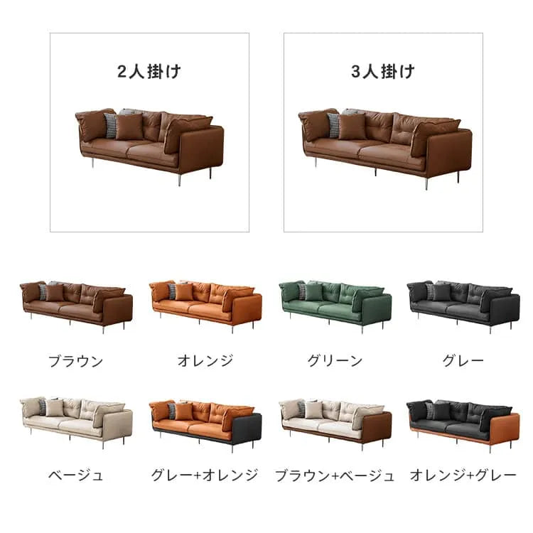 ソファー 2人掛け 3人掛け スチール脚 天然木フレーム おしゃれ 北欧風 コンパクト リビング dlo-015