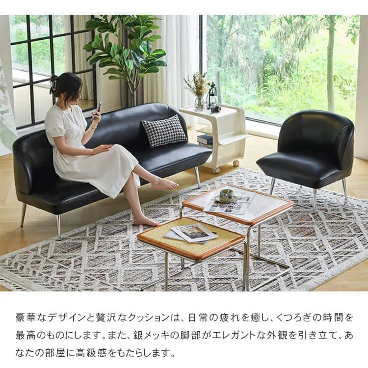 ソファ 一人掛け ソファー 2人掛け 3人掛け クッション付 おしゃれ コンパクト モダン dlo-020