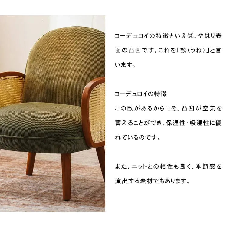 ソファー 2人掛け ソファ 1人掛け 組み立て簡単 二人掛け 肘付きソファ 一人暮らし 北欧風 dlo-043