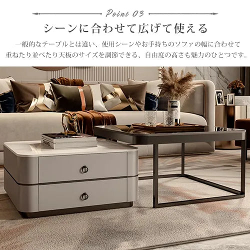 センターテーブル 引き出し付き 高級感 モダン ローテーブル おしゃれ fel-3060