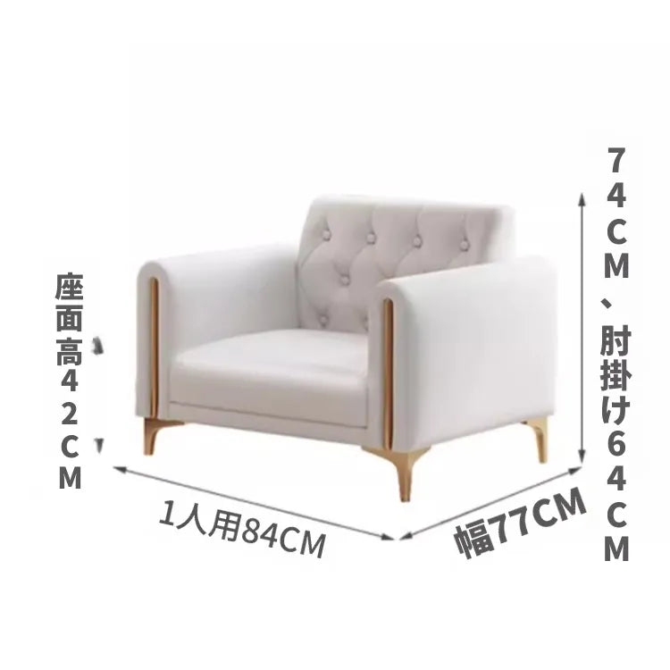 ソファー ソファ 2人掛け 3人掛け フロアソファ ローソファ 高反発 ワイド座面 合皮 レザー調 ベージュ 木製フレーム 金属脚 頑丈 耐久性 おしゃれ 韓国インテリア モダン 高級感 新生活 リビング 来客用 応接室 fmdgz-3725