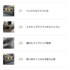 ソファベッド 伸縮式 収納付き 2人掛け 3人掛け 高級感 hyt-3767