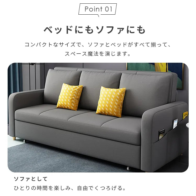 ソファベッド 伸縮式 収納付き 2人掛け 3人掛け 高級感 hyt-3767