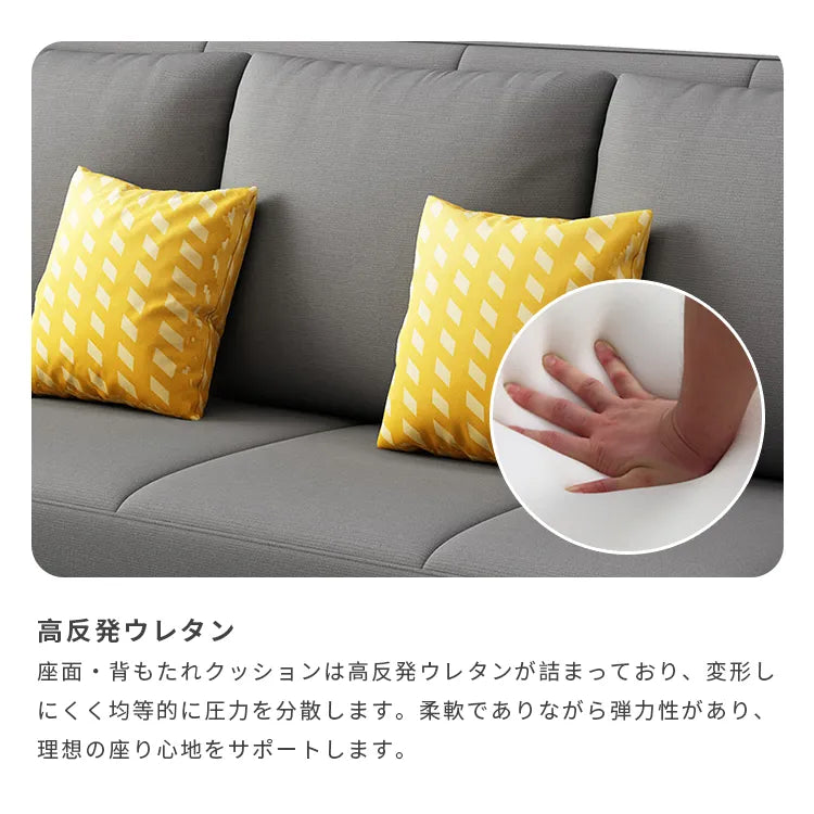 ソファベッド 伸縮式 収納付き 2人掛け 3人掛け 高級感 hyt-3767