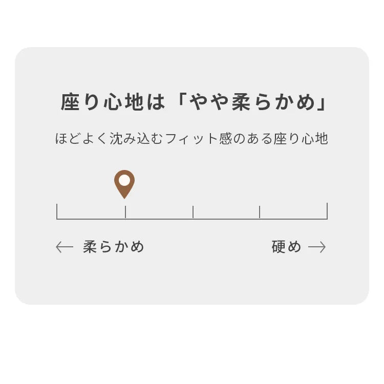 ソファベッド 伸縮式 2人掛け 収納付き モダン hyt-3776